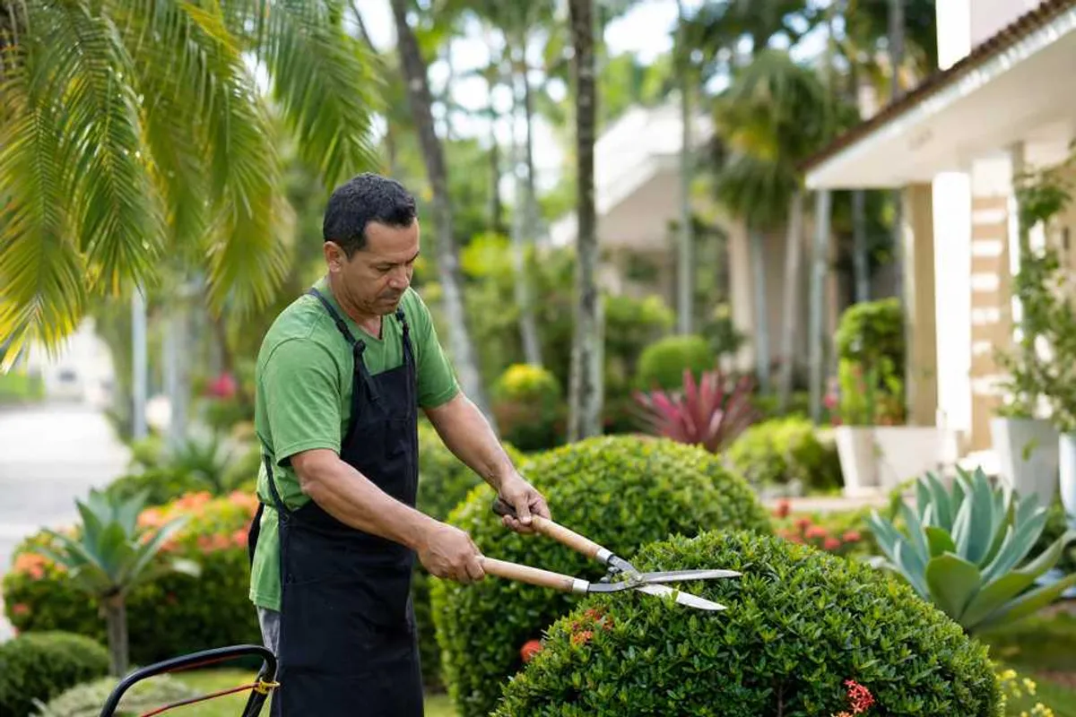Jardineiro profissional cuidando de jardim residencial tropical na Federação
